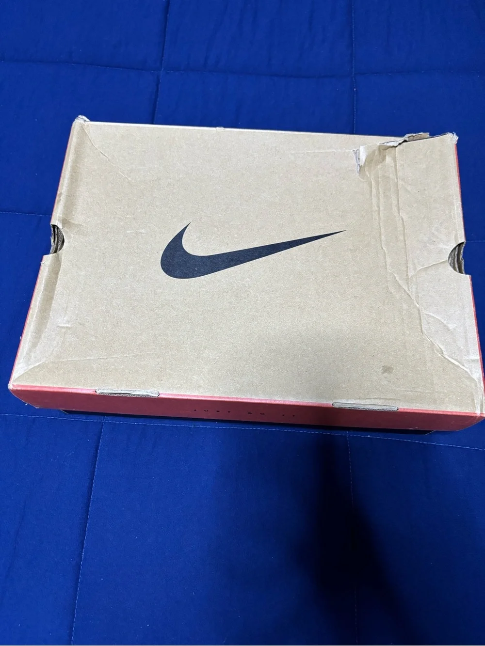 Jordan 12 Retro Melo 2025 Size 9
